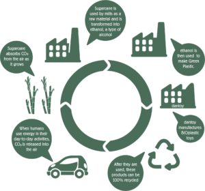 Zabawka BIOplastic pojazdy zestaw 2 szt jeep i racer