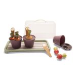 Zabawka GREEN GARDEN Mini szklarnia z roślinami Dantoy