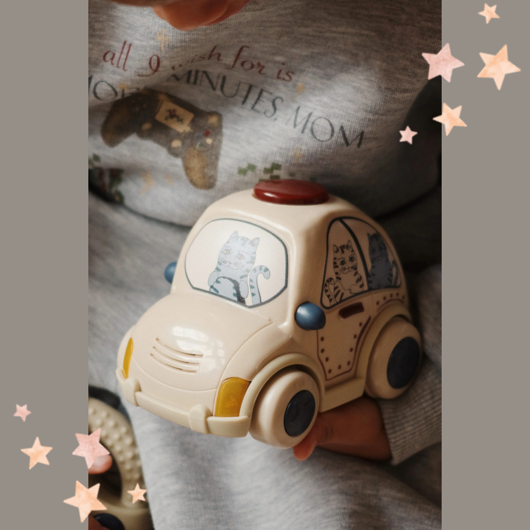 zdalnie-sterowany-samochod-policyjny-konges-slojd-chwali-pietka