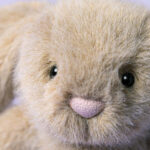 JellyCat Puszysty Króliczek Owsiany 18 cm - obrazek 2