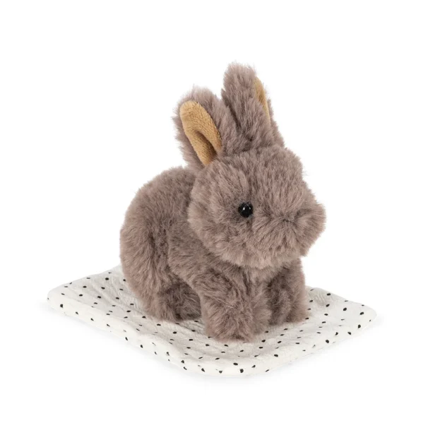 Pluszowy króliczek Konges Slojd Take Care of Me Bunny w transporterze – Chwali Piętka